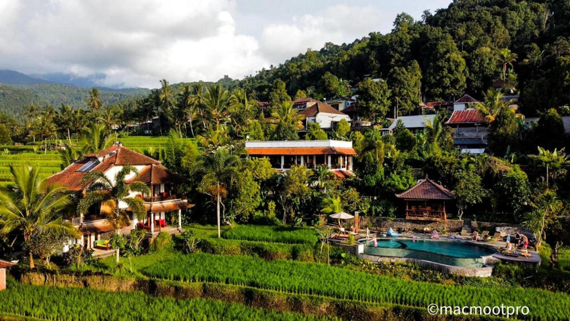 Lesong Hotel&restaurant Munduk