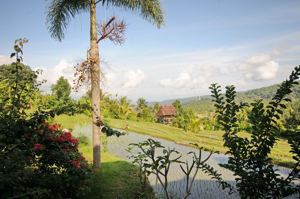 Lesong Hotel&restaurant Hotel